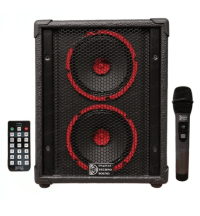 اکو همراه 2×6 بی سیم تکنوساند PTR4W با میکروفن بی‌سیم (کپی)